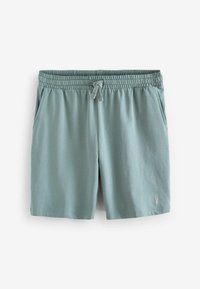 Pantalones cortos en verde claro hechos de una tela suave, con una cinturilla elástica con cordón, bolsillos laterales y un pequeño logo en el dobladillo inferior.