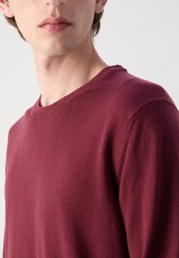 Maglione a maglia borgogna con scollatura a girocollo, maniche lunghe e un tessuto leggero e testurizzato. Dettagli delle cuciture visibili sulle spalle.