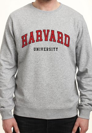 Personne portant un sweat-shirt gris avec « HARVARD » en grandes lettres rouges et « UNIVERSITY » en plus petit en noir à l’avant.
