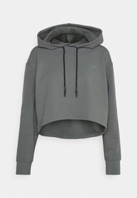 ICANIWILL Sweat à capuche - green