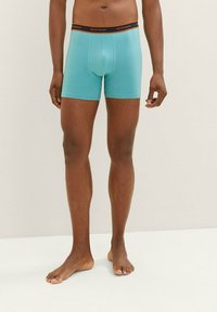 TOM TAILOR LONG PANTS 4 PACK - Uske bokserice - green/medium horizontal stripe