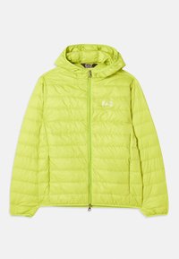 TRAIN CORE LIGHT JACKET - Down jacket - macaw green