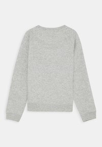 Sudadera gris con una textura suave, mangas raglán largas, cuello redondo y puños y bajo de canalé. Ideal para uso casual.