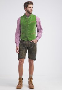 Stockerpoint RICARDO - Weste - light green