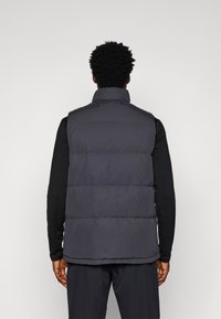 Graue Pufferweste mit hohem Kragen, die genähte Abschnitte und eine elegante, glatte Textur aufweist. Über einem taillierten schwarzen Langarmshirt getragen.