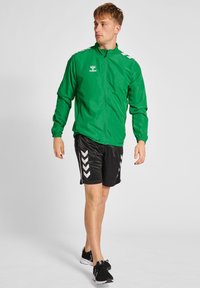 Grüne Sportjacke mit Reißverschluss, elastischen Bündchen und Logo. Kombiniert mit schwarzen Shorts mit weißen Zickzackstreifen und schwarzen Sportschuhen.