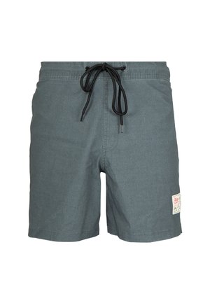 Maillots de bain gris foncé avec une taille à cordon, tissu léger et logo en patch sur le côté. Design classique avec une texture lisse.