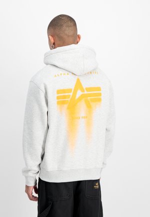 SPRAY PRINT - Sweatshirt - pastel grey melange