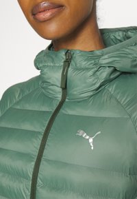 Grünes, gepolstertes Jackett mit Kapuze, ausgestattet mit einem Frontreißverschluss und einem silbernen Logo. Die Textur ist glatt mit einem gesteppten Muster.