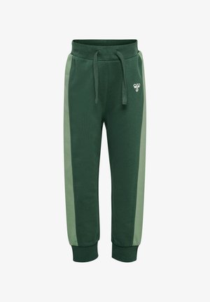Groene sweatpants met een donkerder groene body, lichtere groene zijkanten, een trekkoord in de taille en een klein logo aan de voorkant. Zachte textuur.