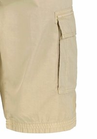 Beige cargoshorts van lichtgewicht stof, met een zijzak, gestikte details en een rechte zoom.