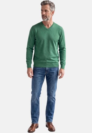 Mittelalter Mann mit grauen Haaren und Bart, der einen grünen Pullover mit V-Ausschnitt, blaue Jeans und braune Lederschuhe trägt, steht vor weißem Hintergrund.