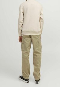 Jack & Jones Junior JPSTKANE HARLOW NOOS - Cargobroek - crockery