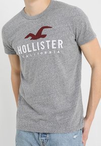 Grå bomullströja med rund hals, med en röd fågel-logotyp och "HOLLISTER CALIFORNIA" tryckt i vitt under logotypen.