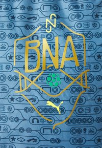 Blauwe stof met een patroon van gamecontrollers. Gouden tekst "BNA" met een groene voetbalicoon en een klein geel Puma-logo.
