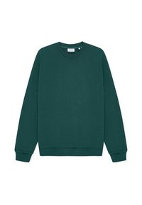 Δεν επιλέχθηκε, sea moss green