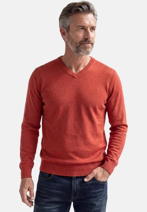 Middelbare man met grijs haar en baard, gekleed in een rood V-hals tricot en donkere spijkerbroek, staand met één hand in zijn zak.