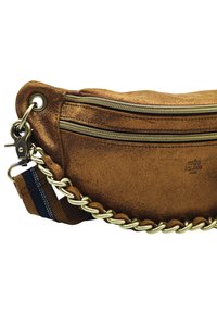 Sac bandoulière en daim marron avec deux zippers dorés, un détail en chaîne dorée et une sangle en tissu rayé avec des attaches en métal.