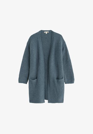 Seasalt Cornwall, SEASALT CORNWALL AUTUMN SUN CARDIGAN - Gilet - grey - light