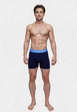 2 PACK - Trunks - grau