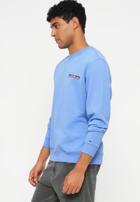 Ανοιχτό μπλε φούτερ με ριγέ μανίκια και στρίφωμα, που διαθέτει πολύχρωμο γραφικό σχέδιο στο στήθος και μικρή επωνυμία στο μανίκι.