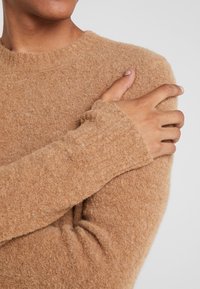 Maglione marrone chiaro in materiale morbido e strutturato con scollo rotondo e maniche lunghe con dettagli a costine sui polsini.