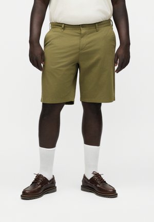 Mann trägt olivgrüne knielange Shorts, weiße Kniestrümpfe und dunkelbraune Schnür-Derbyschuhe und steht vor einem schlichten weißen Hintergrund.