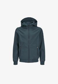 Selezionato, magical forest