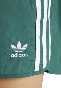 adidas Originals SPRINTER - Pantaloni scurți - collegiate green