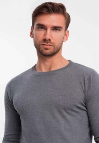 Grauer Langarmpullover mit Rundhalsausschnitt, der eine weiche Textur und eine körpernahe Passform aufweist, getragen von einem Model vor einem schlichten Hintergrund.