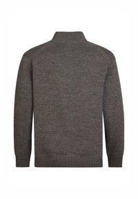 Maglione a maglia marrone con maniche lunghe, polsini a coste, orlo e colletto alto, mostrato dalla parte posteriore su uno sfondo bianco.