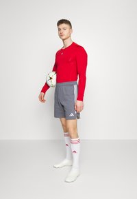 Red long-sleeve athletic shirt, gray shorts with three white stripes, red and white striped socks, and white soccer cleats. Holding a soccer ball.