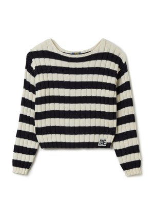STRIPED   - Jumper - blue white