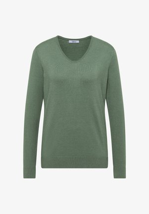 Suéter verde de manga larga con diseño de cuello en V. Fabricado en una tela suave, cuenta con puños y dobladillo acanalados, mostrando un estilo minimalista.
