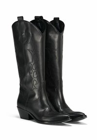 Bottes de cow-boy en cuir noir avec une broderie décorative, des orteils pointus et un faible talon. Elles présentent des tiges hautes et des languettes pour un enfilage facile.