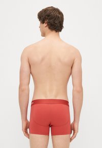 Boxers de algodão vermelhos com um ajuste justo, apresentando uma cintura macia e textura suave, vistos pela parte de trás.