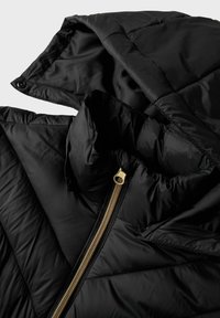 Name it NKFMONEY PB - Chaqueta de invierno - black