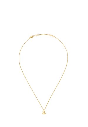 Collier délicat en chaîne d'or avec un petit pendentif "S" courbé et fermoir réglable sur fond blanc.