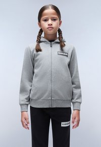 Napapijri CHAMOIS - Felpa con zip - medium grey melange