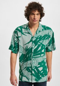 Non selezionato, verdant green palm