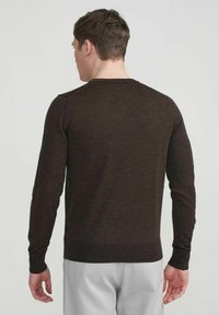 Holebrook NIKLAS V NECK - Džemperis - brown mel.