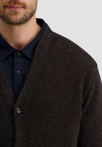 Bebaarde man in een donkerblauwe blouse met knopen onder een donkerbruine gebreide cardigan met één zichtbare knop.