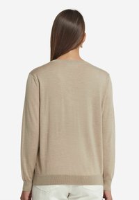 Beige Pullover mit langen Ärmeln und Rundhalsausschnitt, gerippten Bündchen und Saum. Glatte Textur mit einem einfachen, minimalistischen Design. Rückansicht gezeigt.