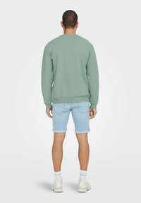 Only & Sons ONSCERES CREW NECK NOOS - Melegítőfelső - chinois green