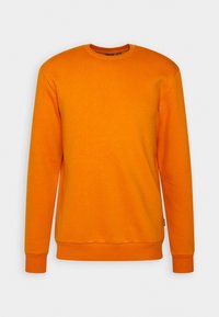 Felpa arancione realizzata in misto cotone, con scollo rotondo, maniche lunghe, polsini e orlo a costine, texture liscia e senza motivi visibili.