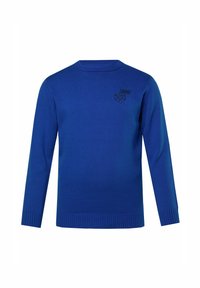 Blauer gestrickter Pullover mit rundem Halsausschnitt, langen Ärmeln, gerippten Bündchen und Saum. Mit einem kleinen schwarzen Logo-Patch auf der Brust.