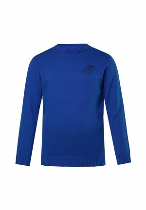 Blauer gestrickter Pullover mit rundem Halsausschnitt, langen Ärmeln, gerippten Bündchen und Saum. Mit einem kleinen schwarzen Logo-Patch auf der Brust.