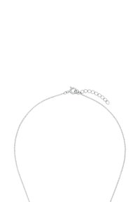 Söljd kedja halsband med små cirkulära länkar och en hummerklämma med en justerbar förlängningskedja på en vit bakgrund.