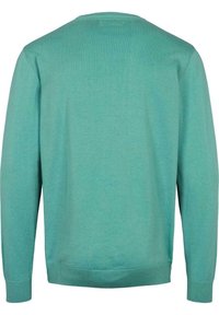 Ljus tealtröja med en ribbad rundhals och manschetter. Har en mjuk textur och avslappnad passform. Bakvy visar en ren design.