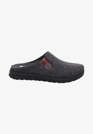 Grå hjemmesko med sort sål, med slip-on design, der har et flerfarvet stribet accent og et rundt logo detaljer på siden.